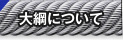 大綱について