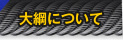 大綱について