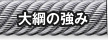大綱の強み