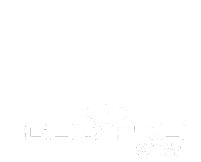 DODIPRO 洗練を極めた安全性と耐久性