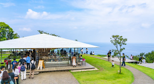 COEDA HOUSE